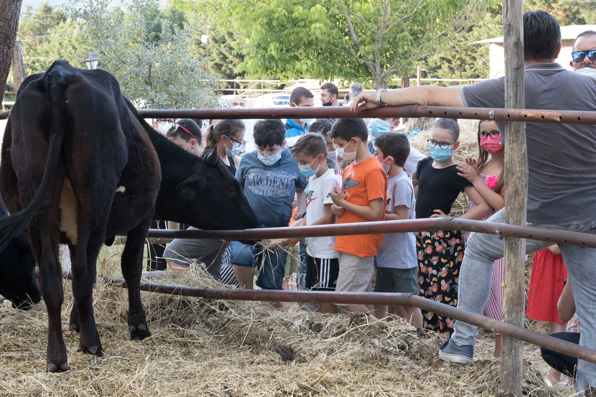 fattoria didattica la casa di campagna, umbria