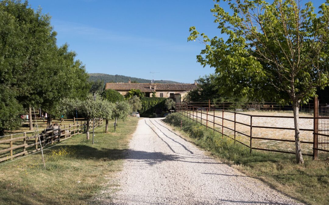 Perugia-Trasimeno Bike Trail