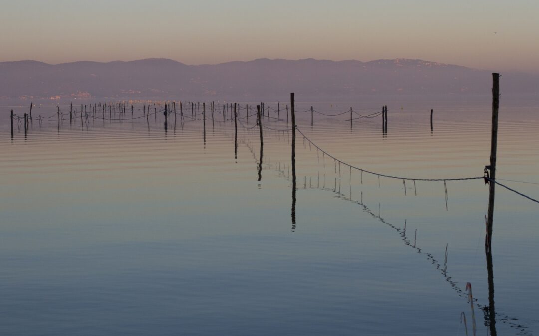 Trekking al Lago Trasimeno